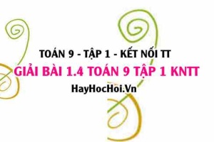 Giải 1.4 Toán 9 tập 1 SGK Kết nối tri thức